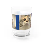 きなこ あずきショップのきなこ ぎん あずき Water Glass :right