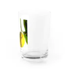 ﾆｼｷｵﾘ🍋Collectionの熱海レモン🍋0 Water Glass :right