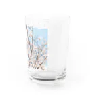 shirohigenoのsaKuraCap Water Glass :right