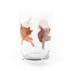 701の尻をなめる猫 Water Glass :right