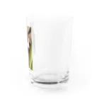 むむ😸🍈(mumu)グッズの茶白猫むむ Water Glass :right