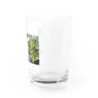 うたかた色の景色がみえるお店のネモフィラと花言葉 Water Glass :right