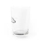 ドコドコ研究所のねむみピラルク Water Glass :right