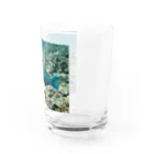 rion02の沖縄　魚T Water Glass :right