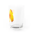 osakiayanoの蝶 Water Glass :right