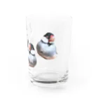 🐦🦆XL文鳥のXL文鳥②ボス　すやすや分身の術 Water Glass :right