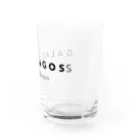 California StockingのGALAPAGOSS Water Glass :right