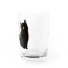 WAMI ARTのランタン猫 グラス右面