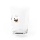 シールポイントミテッドのグッズのシールポイントミテッド Water Glass :right