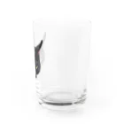 ⓣのキライ猫イラスト Water Glass :right