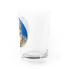 コムノのキジトラ猫の鶉（うずら） Water Glass :right
