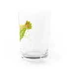 masumi maedaのオパビニア Water Glass :right