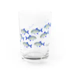 Astrio SUZURI店の魚の群れ カスミアジ Water Glass :right