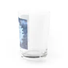 賄い。の世界で1番好きな花。 Water Glass :right