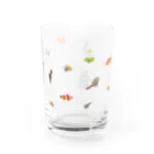 ミナミアスカの共通点はな~んだ？（クマ） Water Glass :right