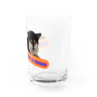 柴犬と柴犬のマムシ柴犬2 Water Glass :right