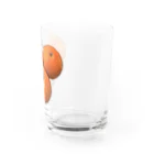 脂身通信Ｚのみかん Water Glass :right