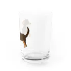 BlumeBellのチワックス・チョコタン Water Glass :right
