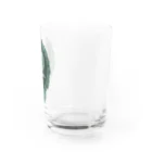 Alba spinaのエケベリア グリーン Water Glass :right