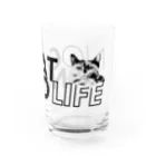 ECOGRAPHIX STOREのNO CAT, NO LIFE（Glass） Water Glass :right