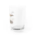 Coo-birdのペチペチして獲物を追い出すコチドリ Water Glass :right
