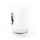 サビ猫azunekoのおうちのサビ猫のazuneko(あずねこ) Water Glass :right