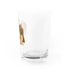 猫カフェ ぶぅたんグッズショップの仏のような寝顔のトコちゃん Water Glass :right