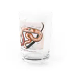 Rubbishのヘビの解剖 Water Glass :right