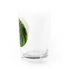 ヨープキャンが気になったのすいか -watermelon- 丸 Water Glass :right