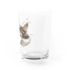 ひじき（ノル猫）のうす猫 Water Glass :right