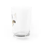 グリヴェール森の雑貨のねこ【ミケ】 Water Glass :right