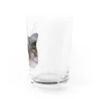 ねこがいるからがんばれる！のまんぷくちゃん Water Glass :right