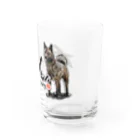 オリジナル工房プリントンの甲斐犬 イラストプリント Water Glass :right
