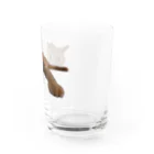 音to鳴手芸部のぺったりちゃちゃまる Water Glass :right