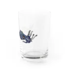 てうてぃすてぇてぇのひかりとやみのミミイカ Water Glass :right