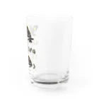 くいなの母のしまるはこがめ Water Glass :right