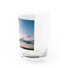 sheep-sの夕焼けと鳥 Water Glass :right