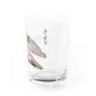 脂身通信Ｚのお刺身_さより Water Glass :right