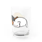 ふわにゃんshopのツチノコ☆キャッツ Water Glass :right