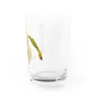ライフガード北陸の今日も元気なバナナ Water Glass :right