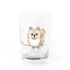 イラスト MONYAAT のCT08ol ぽめるはポメラニアンＡ Water Glass :right