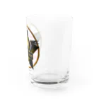 Ａ’ｚｗｏｒｋＳのアメリカンイーグル-AMC-THE STARS AND STRIPES WATERMARK Water Glass :right