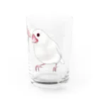 まめるりはことりの幸せ文鳥ちゃん【まめるりはことり】 Water Glass :right