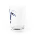 mouthの亀×宇宙 Water Glass :right