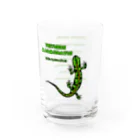 🕷️𝐉𝐚𝐩𝐚𝐧 𝐂𝐫𝐞𝐞𝐩𝐲 𝐢𝐧𝐬𝐞𝐜𝐭𝐬 𝐅𝐞𝐝𝐞𝐫𝐚𝐭𝐢𝗼𝐧🦂のマダライモリ Water Glass :right