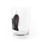 nya nya*のドアップねこ Water Glass :right