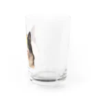 コンドーショップのシャトーブリアン猫 Water Glass :right