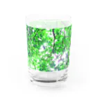 fée de la roseのVert frais Water Glass :right