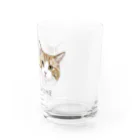 みきぞーん｜保護猫 ミッキー画伯と肉球とおともだちのgyoza&kome Water Glass :right