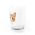 みきぞーん｜保護猫 ミッキー画伯と肉球とおともだちのram&rui Water Glass :right